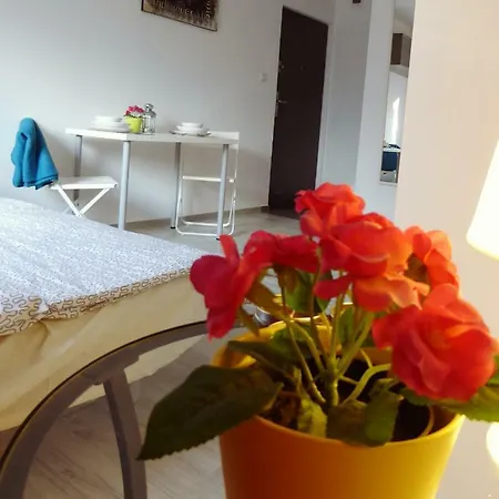 Apartamenty Z Ogrodkiem Amadeus Apartment